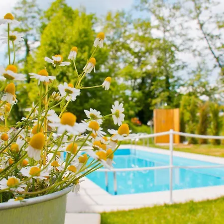 Aristotelia Gi Ikies - Poolside Retreats 올림피아다