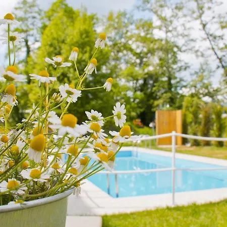 Apartament Aristotelia Gi Ikies - Poolside Retreats *
