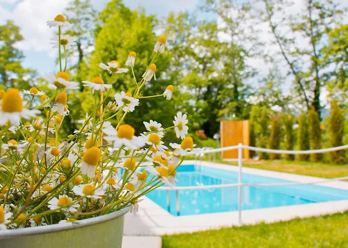 Aristotelia Gi Ikies - Poolside Retreats Olympiada