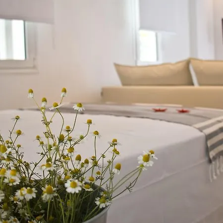 Aristotelia Gi Ikies - Poolside Retreats Apartment